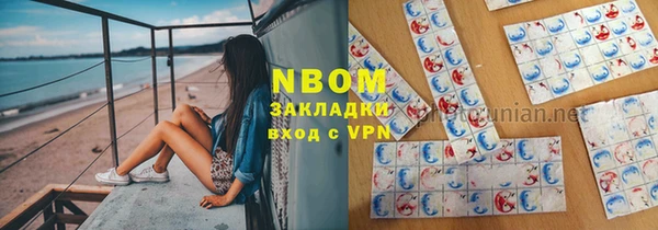 Альфа ПВП Новозыбков