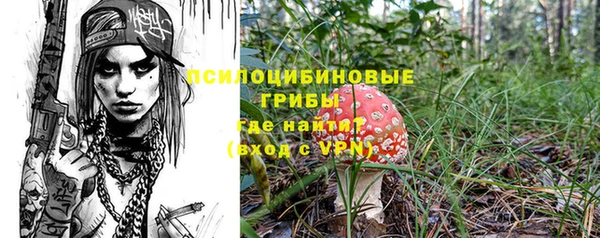 шишки Нязепетровск