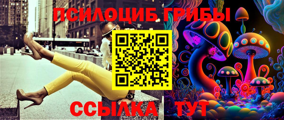 Галлюциногенные грибы GOLDEN TEACHER  Вход с VPN  Кириши 