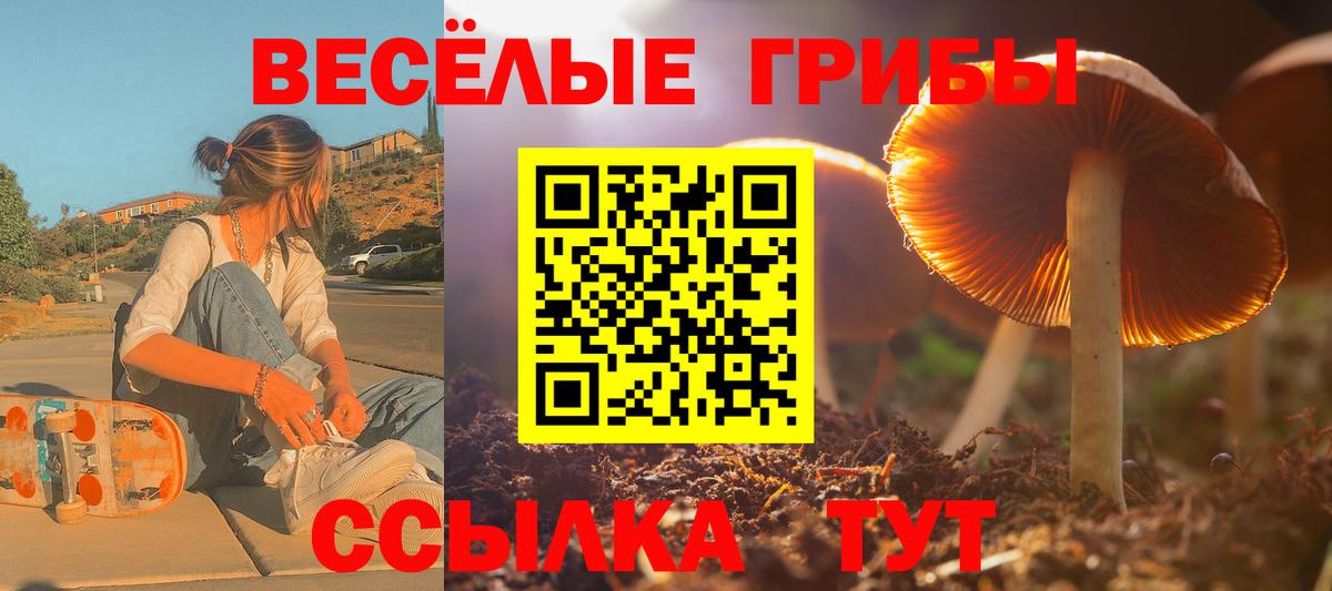 Псилоцибиновые грибы Magic Shrooms Кириши