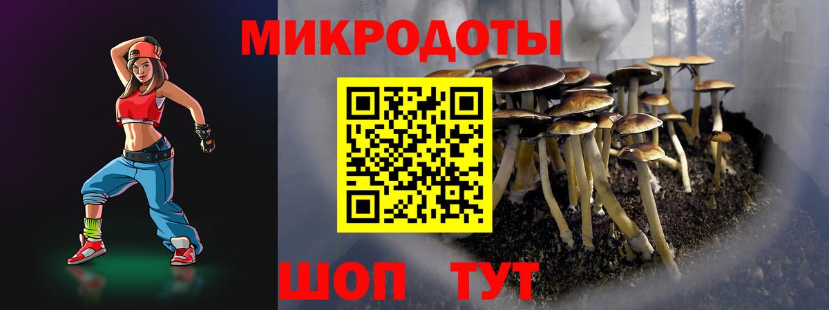 Галлюциногенные грибы GOLDEN TEACHER  Кириши  Галлюциногенные грибы ЛСД 